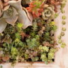 UERU  Small-W - 画像 (5)